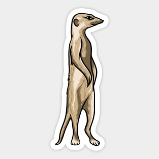 Meerkat Sticker